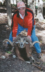 Corsican Ram Hunting at High Adventure Ranch