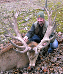 Missouri Red Stag Hunting