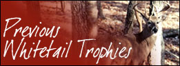 Whitetail Trophies