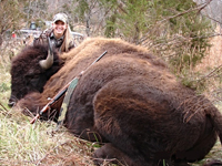 Trophy Buffalo Hunting at High Adventure Ranch