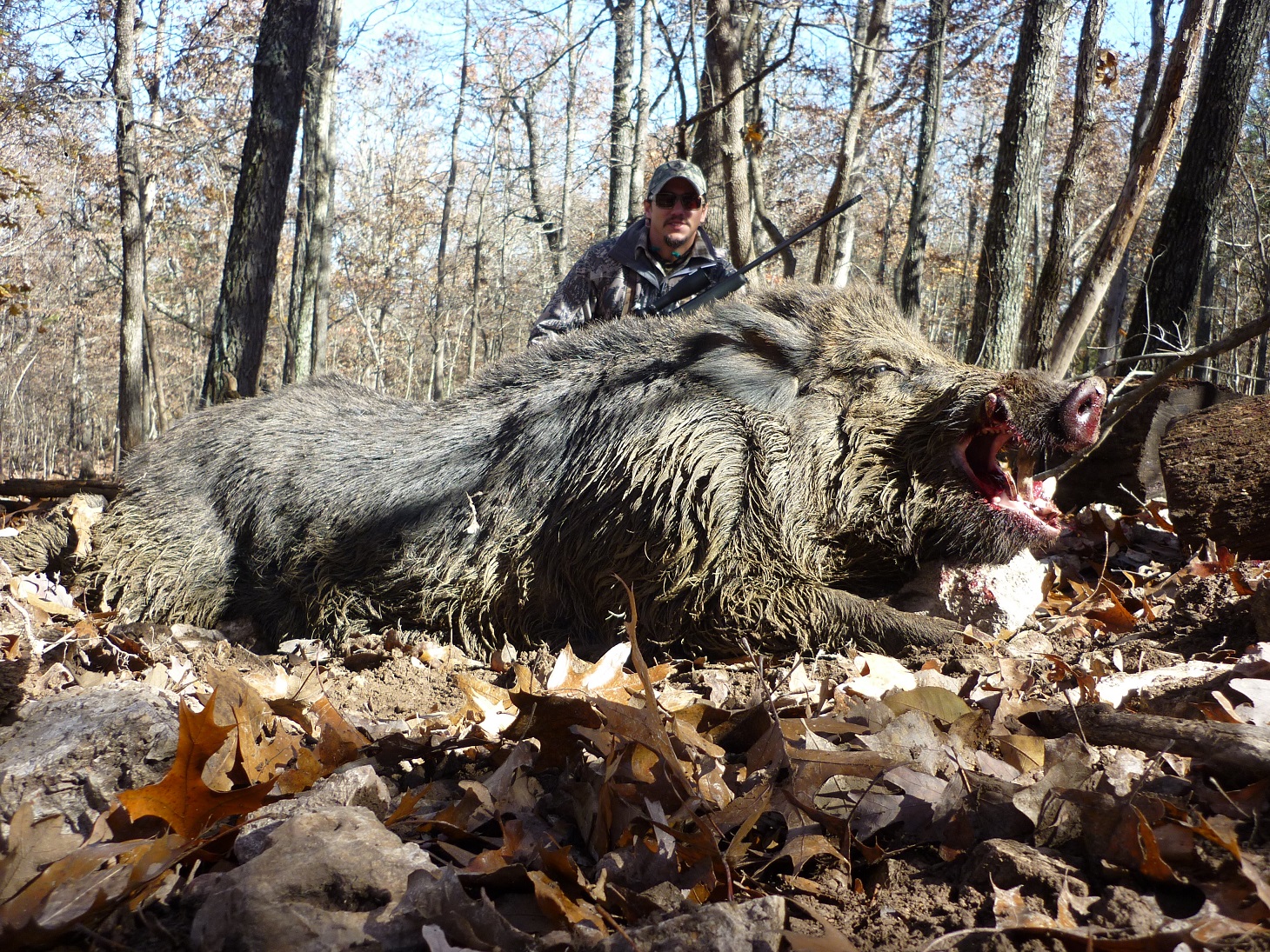 July 2015 news RB Russian Boar