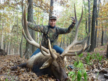 Bull Elk Scoring 400