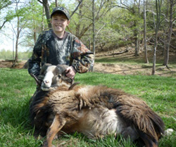 Mouflon Ram Hunt at High Adventure Ranch