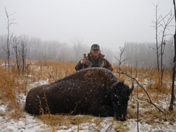 3 Year Old Bull Buffalo Hunt