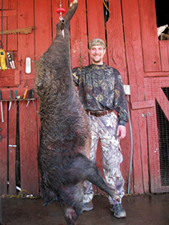 Boar Hunting in Missouri