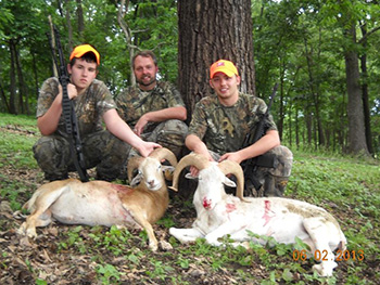 Ram Hunting in Missouri at High Adventure Ranch