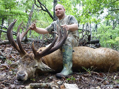 Missouri Red Stag Hunt