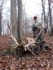 Trophy Elk Hunt in Missouri