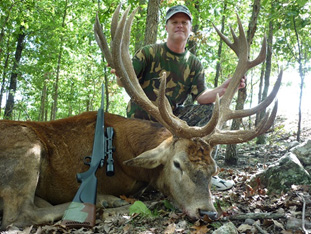 Red Stag Hunting in Missouri