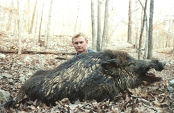 Russian Boar Hunt at High Adventure Ranch