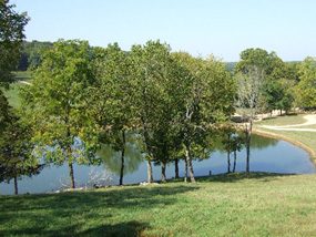 Summer at High Adventure Ranch