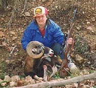 Mouflon Ram Hunting at High Adventure Ranch