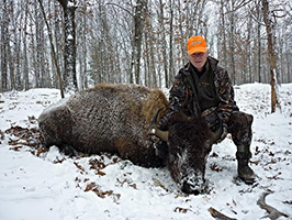 Winter Bison Hunt at High Adventure Ranch