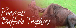 Buffalo Trophies