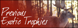 Exotic Trophies