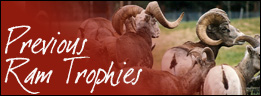 Ram Trophies