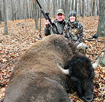 Trophy Bison Hunt in Missouri
