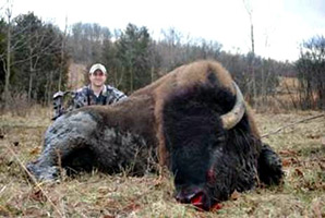 Bison Hunting at High Adventure Ranch