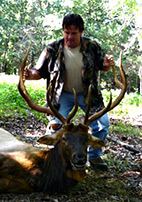 Trophy Elk Hunting Packages