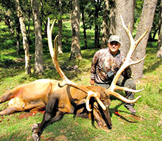 Big Horned Elk Hunt at High Adventure Ranch