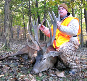 High Scoring Red Stag