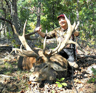Silver Level Red Stag Hunt