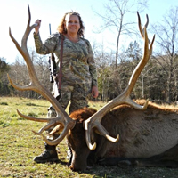 Trophy Elk Hunting at High Adventure Ranch